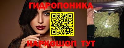 спиды Гагарин