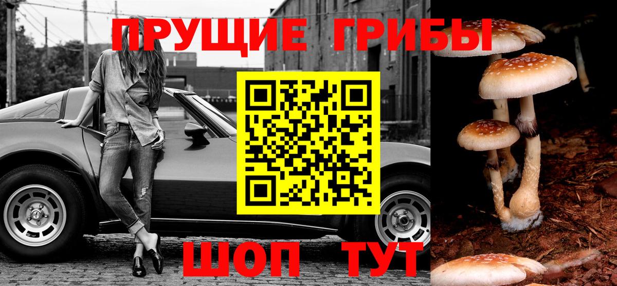 купить  цена  Галлюциногенные грибы мицелий  Галлюциногенные грибы Cubensis  Вход с VPN  Ноябрьск 